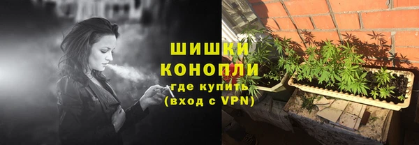 стафф Горнозаводск