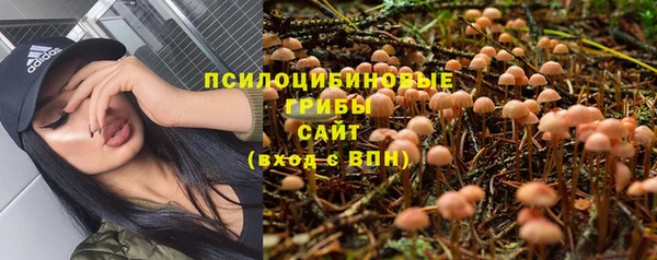 амф Нязепетровск