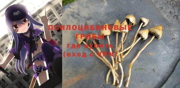 индика Остров