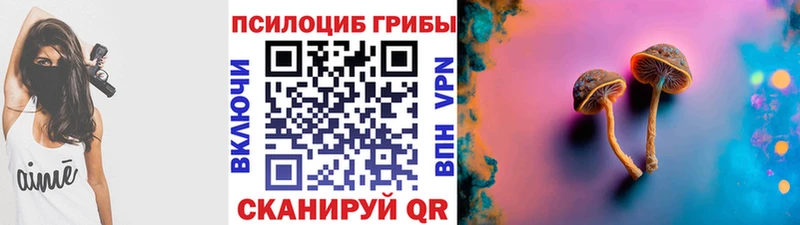 Псилоцибиновые грибы Cubensis  hydra tor  Кумертау 