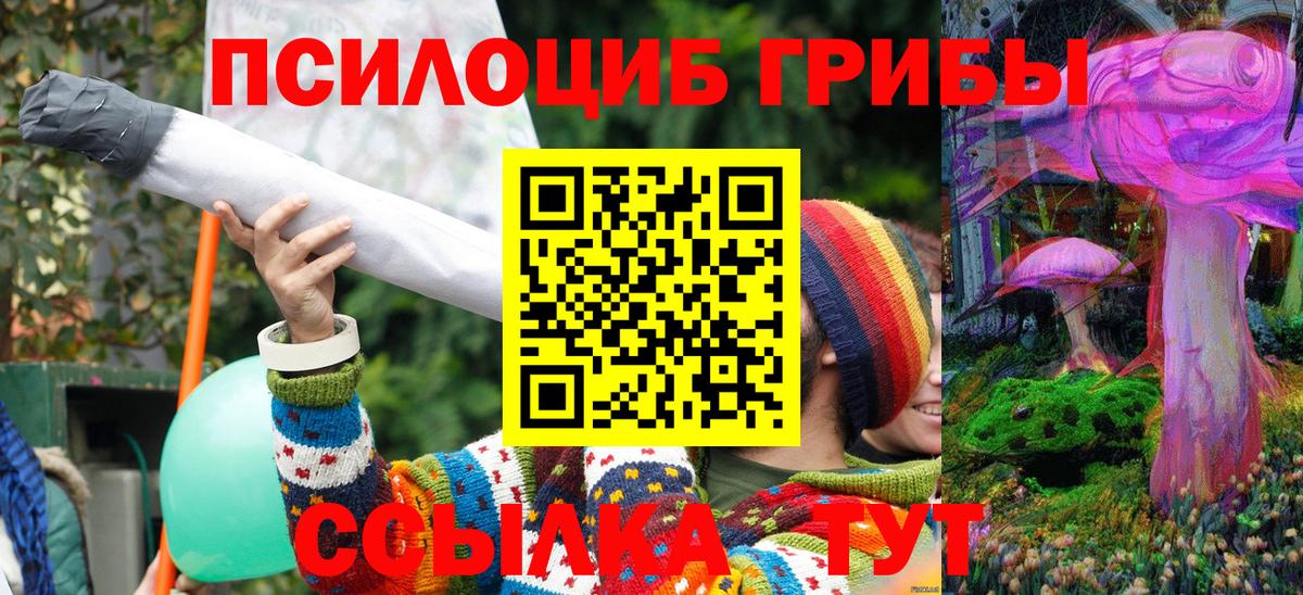 Псилоцибиновые грибы GOLDEN TEACHER  Псилоцибиновые грибы Psilocybe  Кумертау 