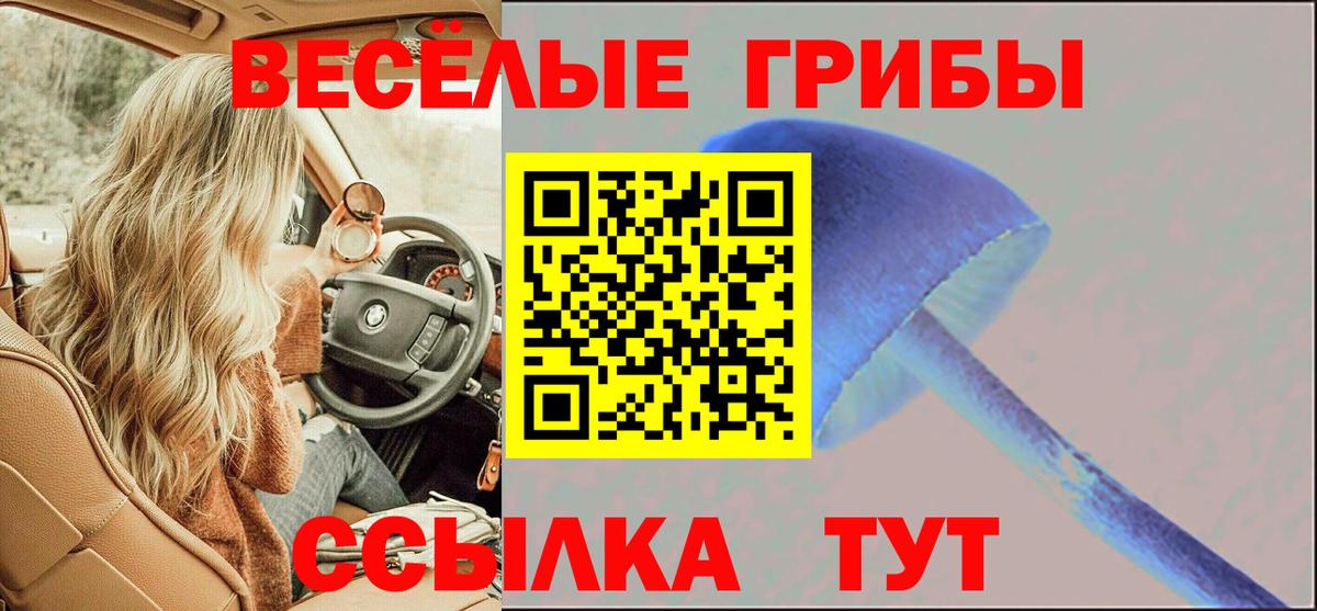 Псилоцибиновые грибы Magic Shrooms Кумертау